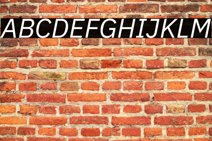 IBM Plex Sans Italic Example 1