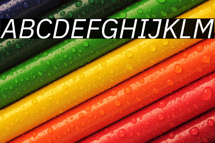 IBM Plex Sans Italic Example 3