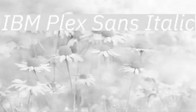 IBM Plex Sans Italic Font examples