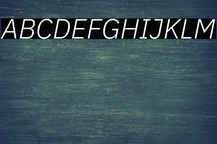 IBM Plex Sans Light Italic Example 3