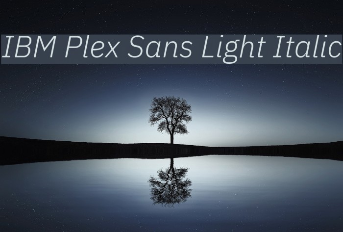 IBM Plex Sans Light Italic Font examples
