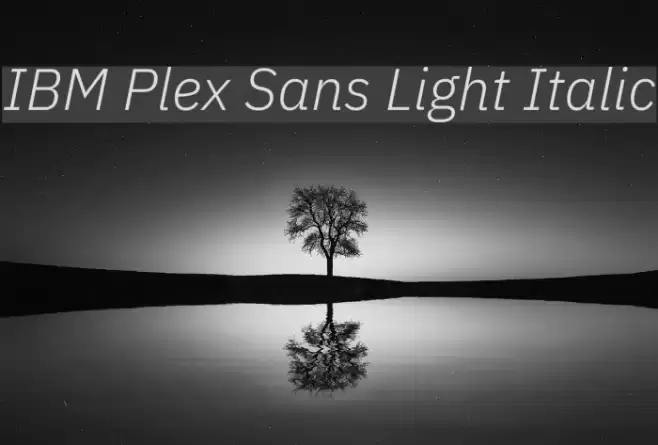 IBM Plex Sans Light Italic  examples