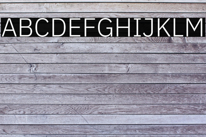 IBM Plex Sans Light Example 2