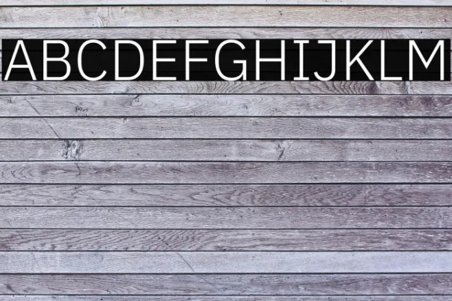 IBM Plex Sans Light Example 2