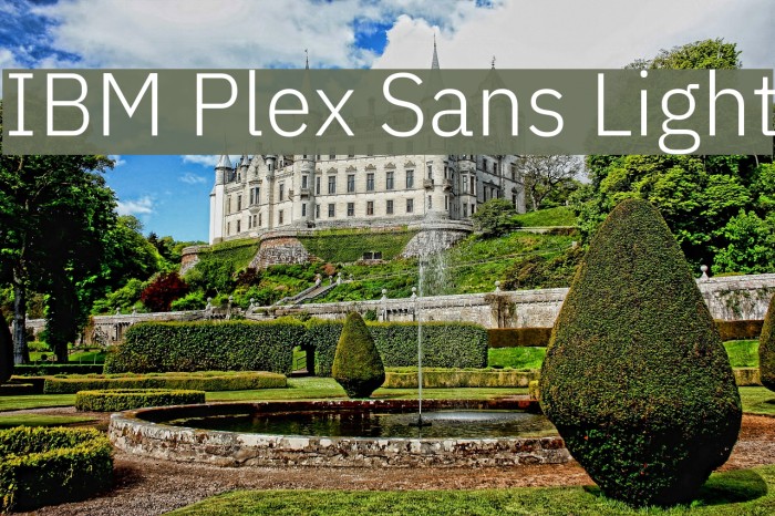 IBM Plex Sans Light Font examples