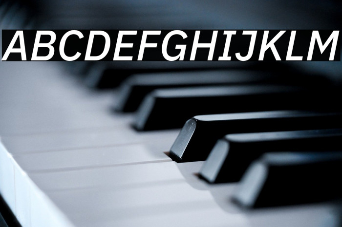 IBM Plex Sans Medium Italic Example 2