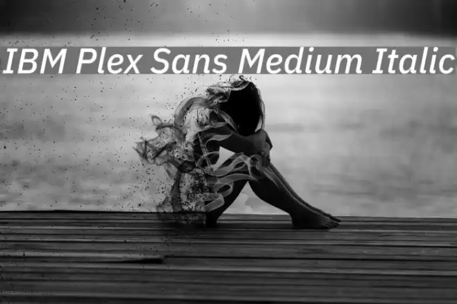 IBM Plex Sans Medium Italic Font examples