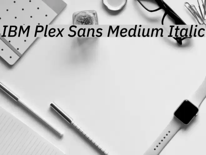 IBM Plex Sans Medium Italic Font examples