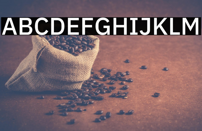 IBM Plex Sans Medium Example 3