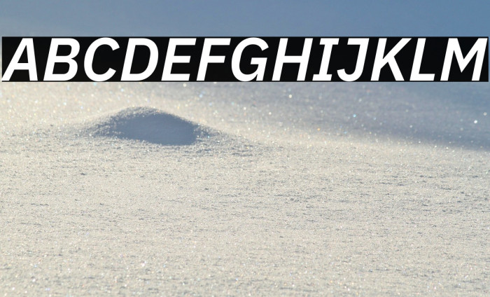 IBM Plex Sans SemiBold Italic Example 1