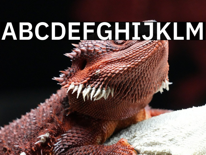 IBM Plex Sans SemiBold Example 2