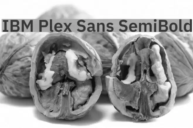 IBM Plex Sans SemiBold फ़ॉन्ट examples