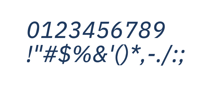 IBM Plex Sans Text Italic Other Characters