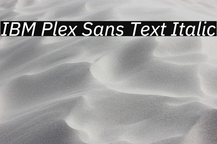 IBM Plex Sans Text Italic Example 2
