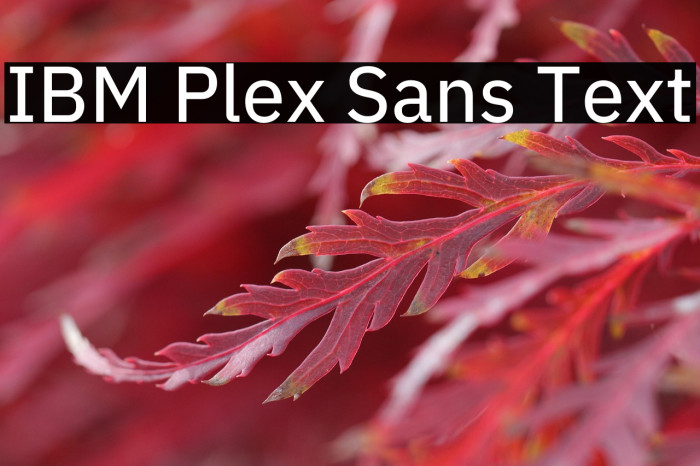 IBM Plex Sans Text Example 1