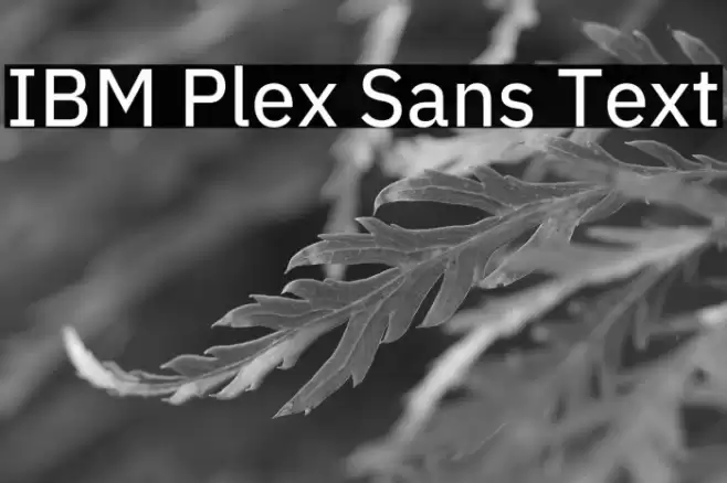 IBM Plex Sans Text Font examples