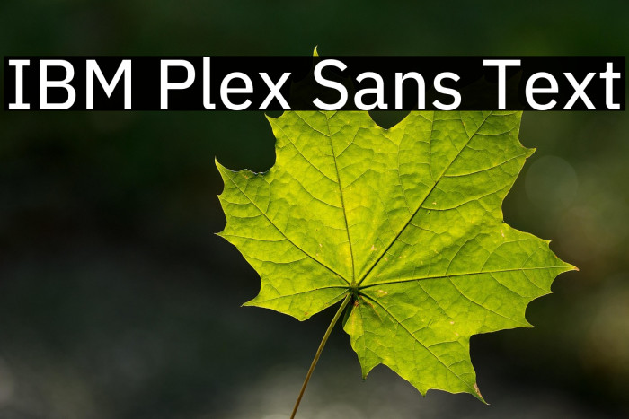 IBM Plex Sans Text Example 2