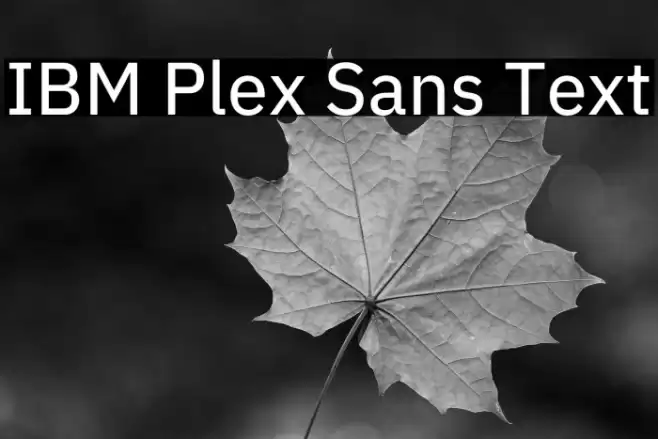 IBM Plex Sans Text Font examples