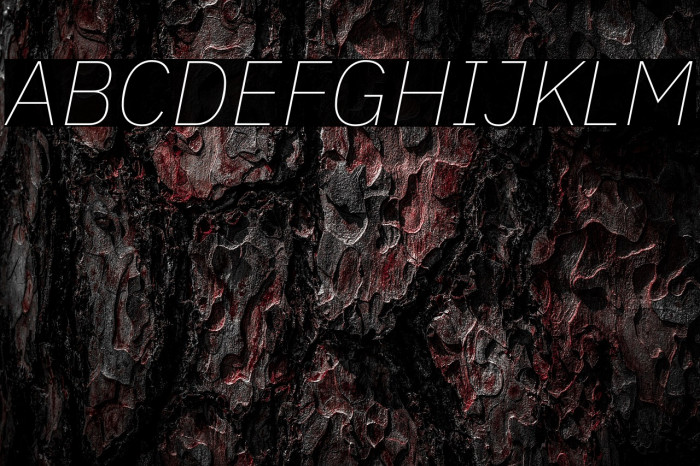 IBM Plex Sans Thin Italic Example 3