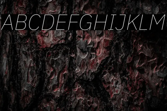 IBM Plex Sans Thin Italic Example 3