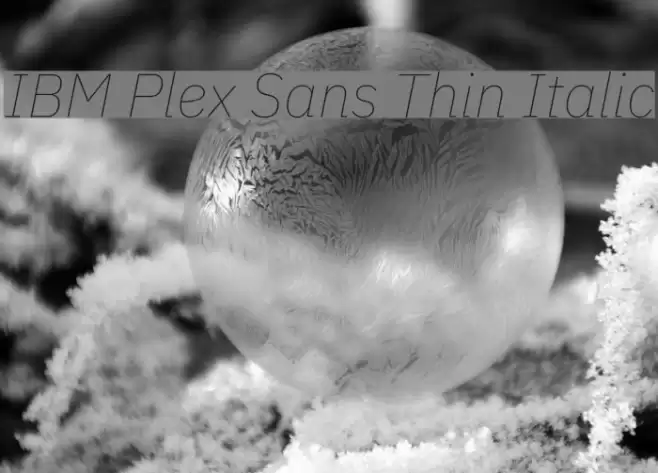 IBM Plex Sans Thin Italic Font examples