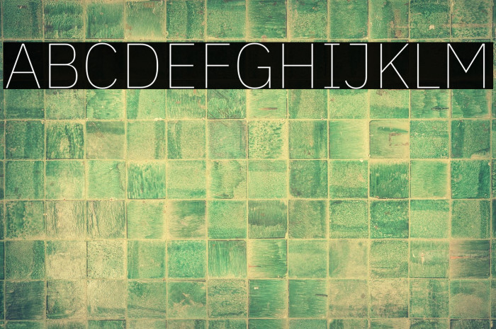 IBM Plex Sans Thin Example 2