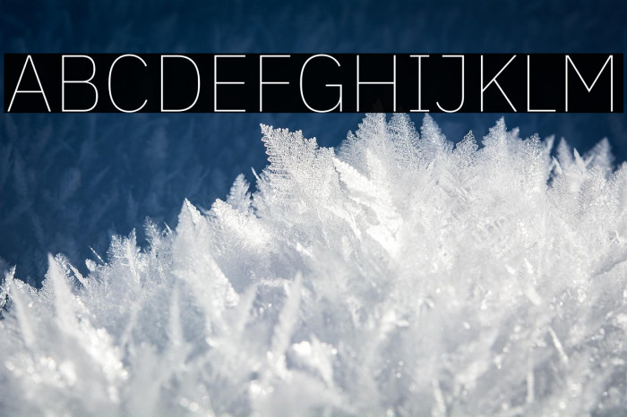 IBM Plex Sans Thin Example 3