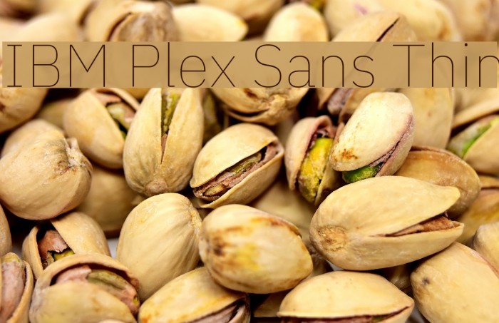 IBM Plex Sans Thin Font examples