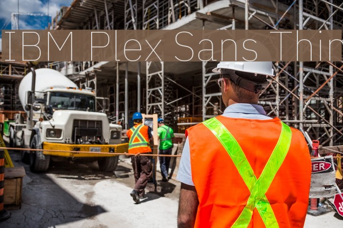 IBM Plex Sans Thin Font examples