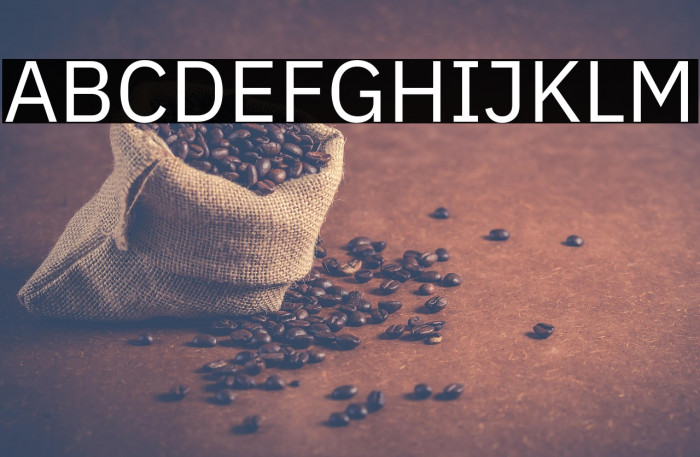 IBM Plex Sans Example 3