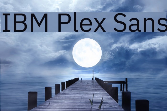 IBM Plex Sans Font examples