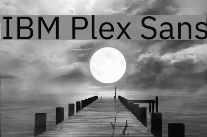 IBM Plex Sans Font examples