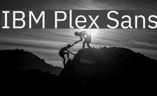 IBM Plex Sans Font examples
