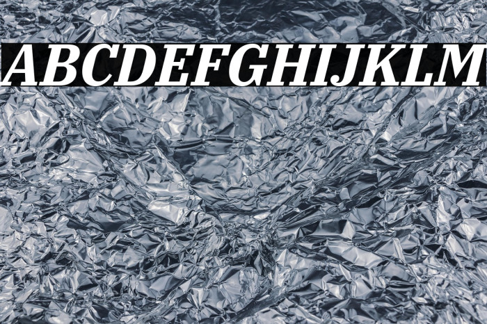 IBM Plex Serif Bold Italic Example 1