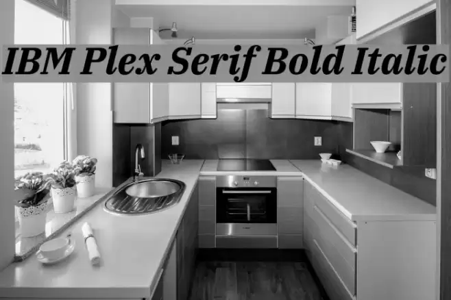 IBM Plex Serif Bold Italic Font examples