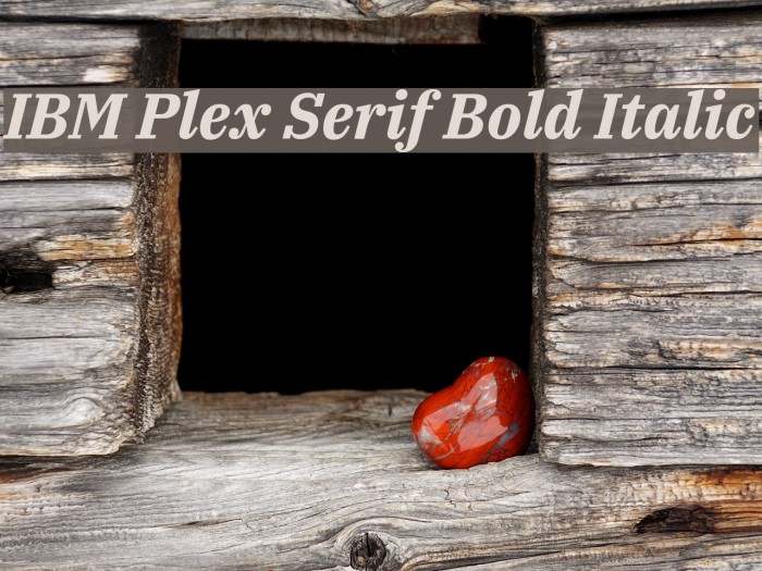 IBM Plex Serif Bold Italic Font examples