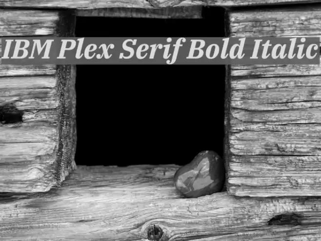 IBM Plex Serif Bold Italic Font examples