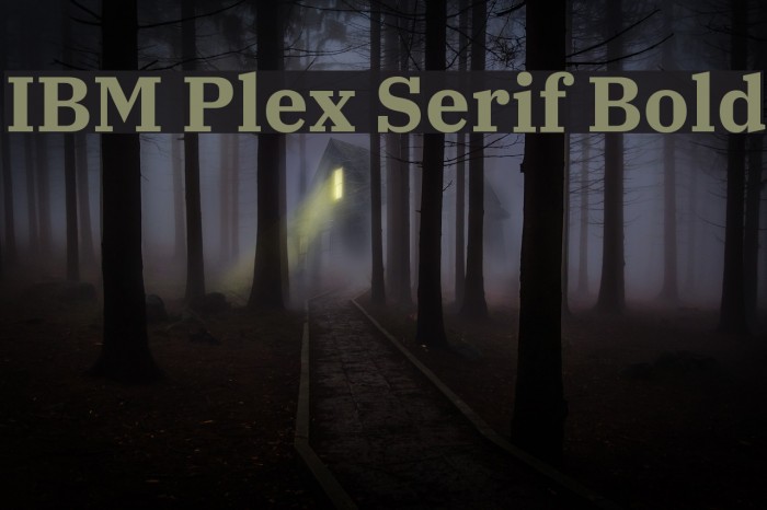 IBM Plex Serif Bold Font examples