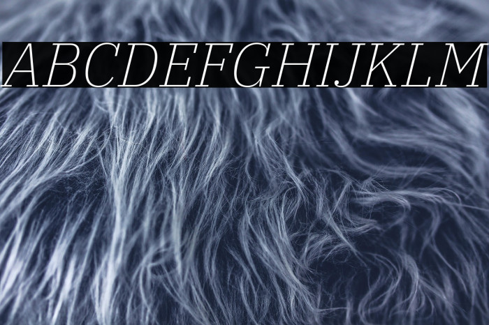 IBM Plex Serif ExtraLight Italic Example 2