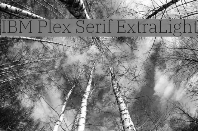 IBM Plex Serif ExtraLight Font examples