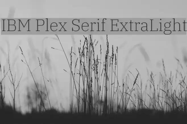 IBM Plex Serif ExtraLight Font examples