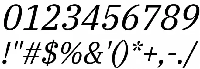 IBM Plex Serif Italic Font OTHER CHARS