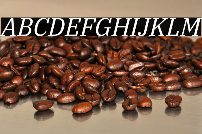 IBM Plex Serif Italic Example 1