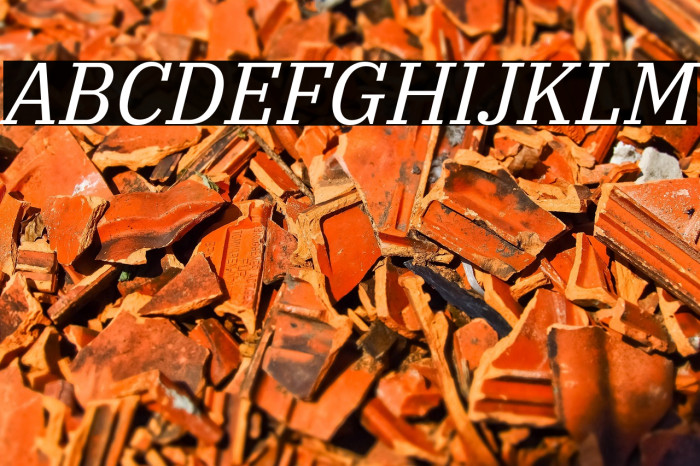 IBM Plex Serif Italic Example 2