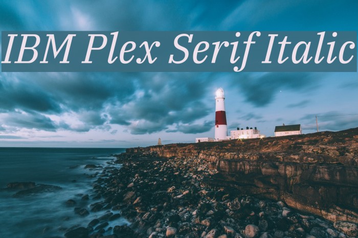 IBM Plex Serif Italic Example 1