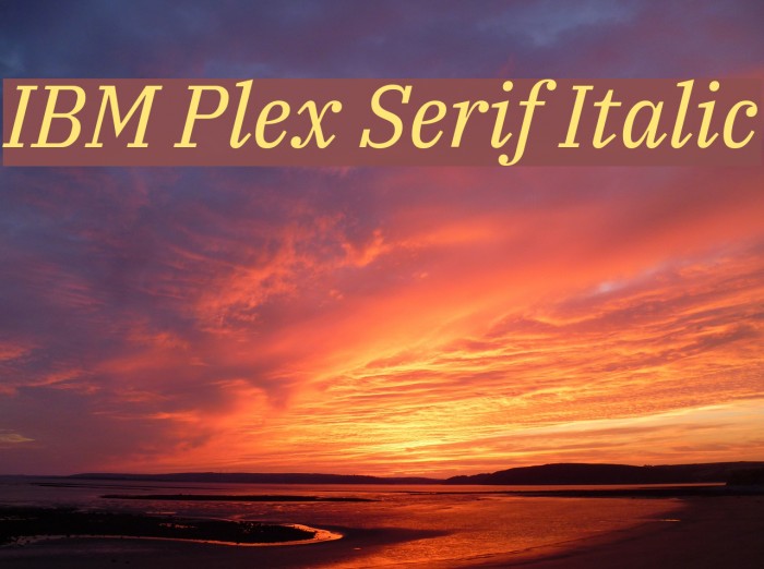 IBM Plex Serif Italic Example 2