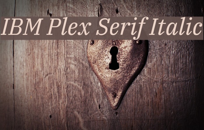 IBM Plex Serif Italic Example 3