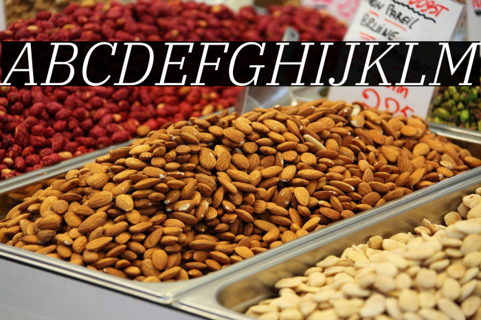 IBM Plex Serif Light Italic Example 1