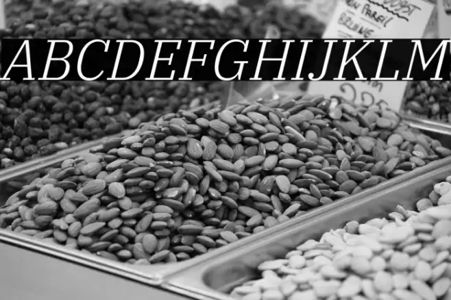 IBM Plex Serif Light Italic Font examples