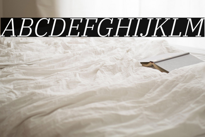 IBM Plex Serif Light Italic Example 3